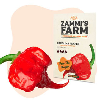 Carolina Reaper Zaden