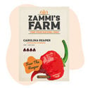 Carolina Reaper Zaden