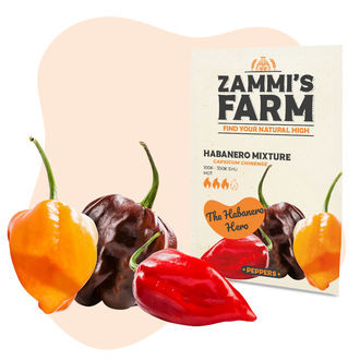 Habanero Mix Zaden