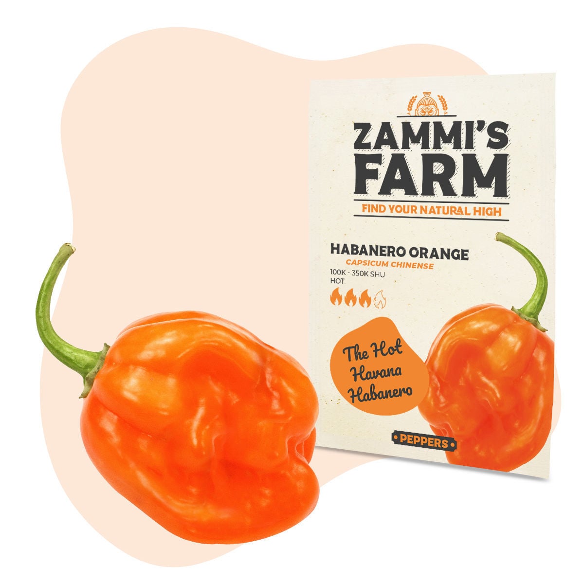 Habanero Chocolate zaadjes €3,10