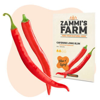 Cayenne Long Slim Zaden