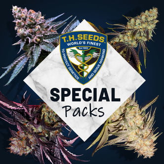 Limited Edition Strains (T.H.Seeds) Feminized