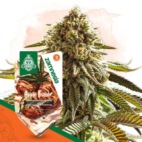 Apple Fritter Automatic (Zamnesia Seeds) feminized