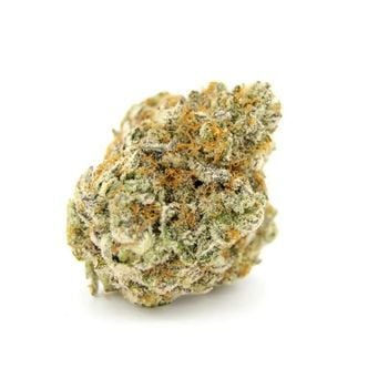 Forbidden Runtz XL Auto (Growers Choice) Feminized