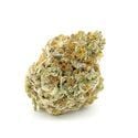 Forbidden Runtz XL Auto (Growers Choice) Feminized