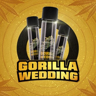 Gorilla Wedding (BSF Seeds x Zamnesia Seeds) Feminized