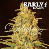Critical Sensi Star - Early Version (Delicious Seeds) Feminized