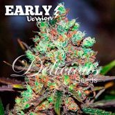 Cotton Candy Kush - Early Version (Delicious Seeds) Feminized