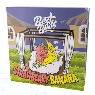 Crystal Asbak (Best Buds)