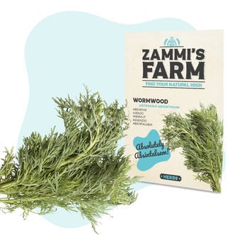 Absintalsem (Artemisia absinthium) Zaden