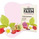Zaden Van De Bosaardbei (Fragaria Vesca)