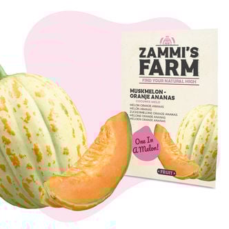 Suikermeloen 'Oranje Ananas' (Cucumis Melo) Zaden