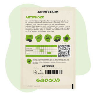Artisjokzaden 'Violet de Provence' (Cynara Scolymus)