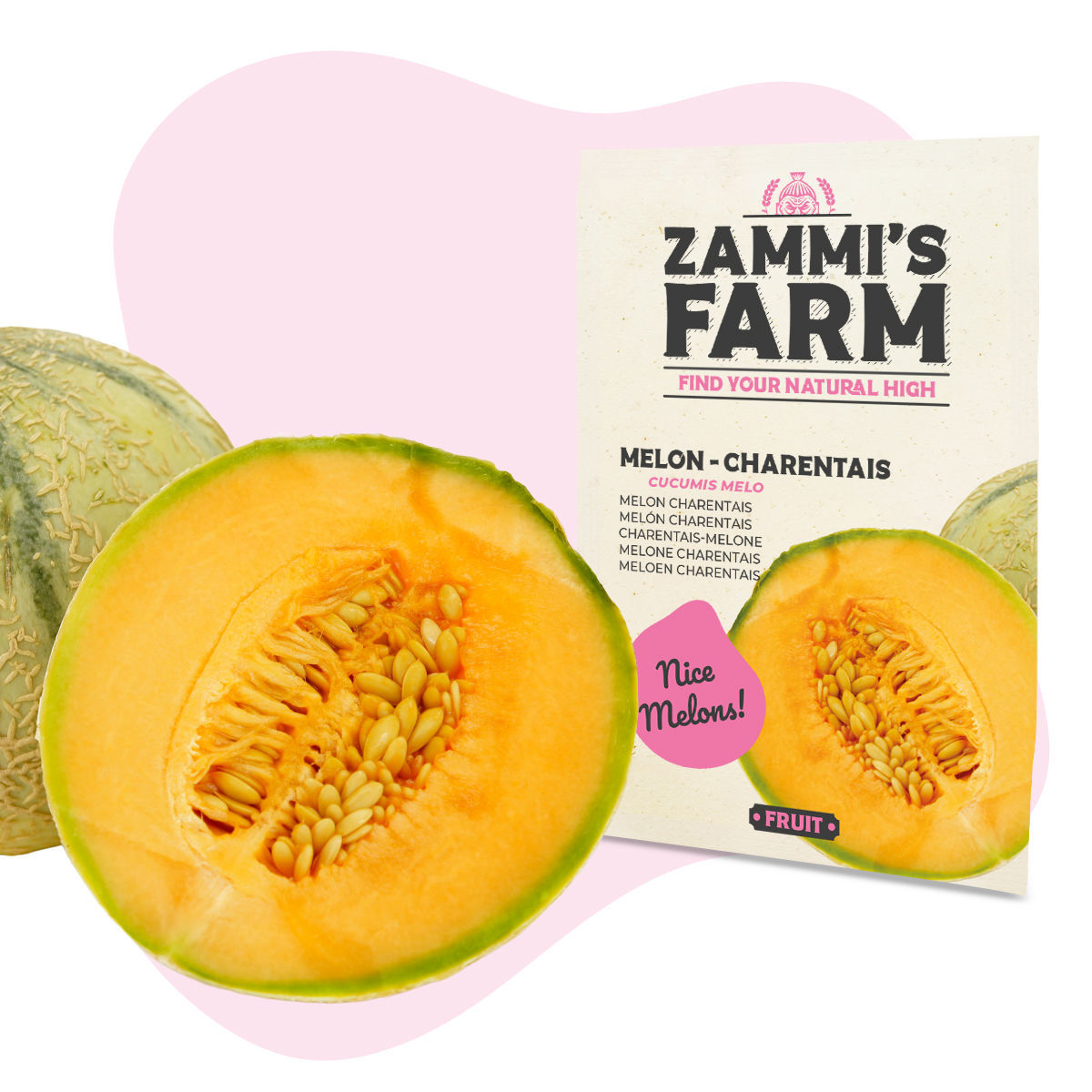 Meloen (Cucumis Melo) Charentais Zaden