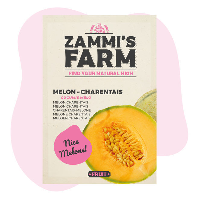 Meloen (Cucumis Melo) Charentais Zaden