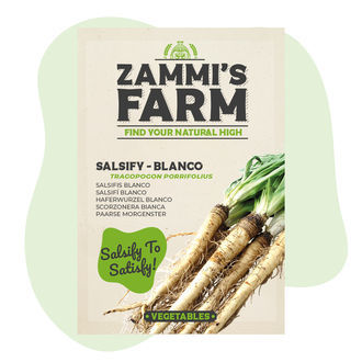 Paarse morgenster (Tragopogon porrifolius) Zaden