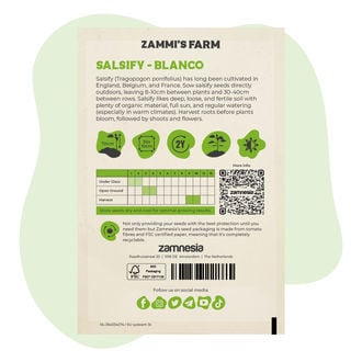 Paarse morgenster (Tragopogon porrifolius) Zaden