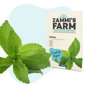 Stevia (Stevia Rebaudiana) Zaden