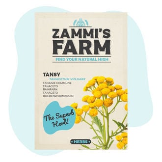 Boerenwormkruid (Tanacetum vulgare) Zaden