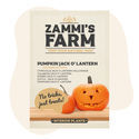 Jack O' Lantern Pompoenzaden (Cucurbita Pepo)