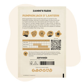 Jack O' Lantern Pompoenzaden (Cucurbita Pepo)