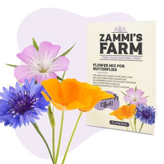 Bloemen Voor Vlinders - Zadenmix