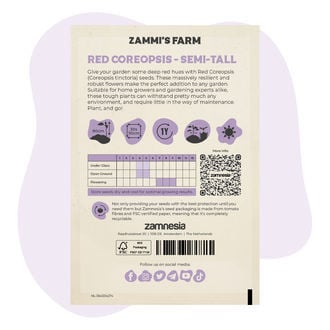 Halfhoge Coreopsis Red (Coreopsis Tinctoria)