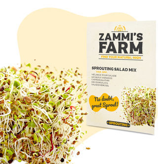 Kiemgroente Salademix Zaden