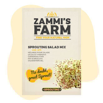 Kiemgroente Salademix Zaden