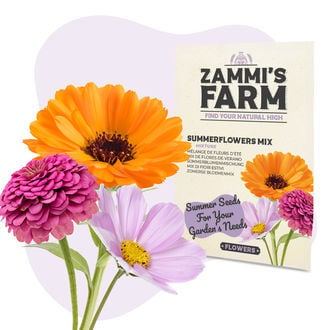 Zomerbloemen Zadenmix