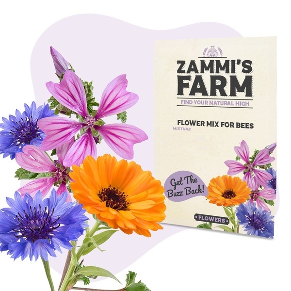 Bloemen Voor Bijen - Zadenmix