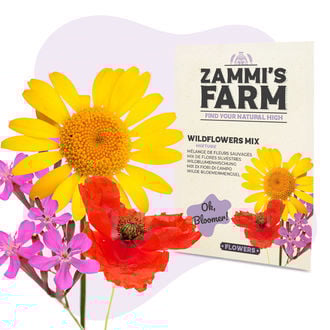 Wilde Bloemen - Zadenmix
