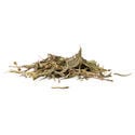 Sinicuichi (Heimia Salicifolia) 20 gram