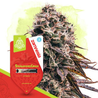 Strawberry Cough Automatic (Zamnesia Seeds) Feminized