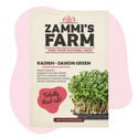 Microgreens Radijs - Groene Daikon (Raphanus Sativus) Zaden