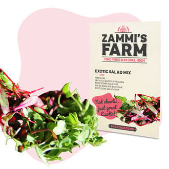 Microgreens Exotische Salade Mix - Zaden