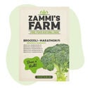 Broccoli Marathon F1 Zaden (Brassica Oleracea)