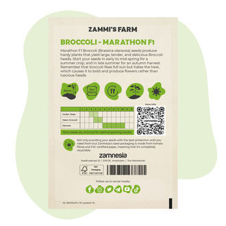 Broccoli Marathon F1 Zaden (Brassica Oleracea)