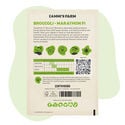Broccoli Marathon F1 Zaden (Brassica Oleracea)