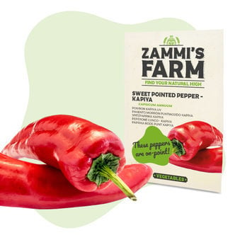 Zoete Puntpaprika Kapiya Zaden (Capsicum Annuum)