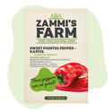 Zoete Puntpaprika Kapiya Zaden (Capsicum Annuum)