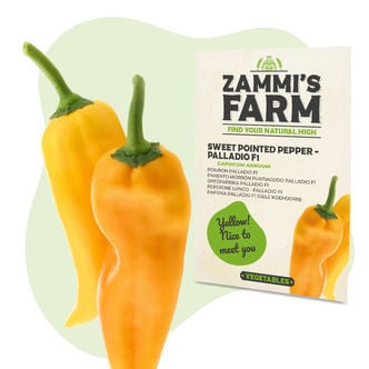 Zoete Puntpaprika Palladio F1 Zaden (Capsicum Annuum)