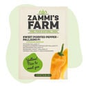 Zoete Puntpaprika Palladio F1 Zaden (Capsicum Annuum)