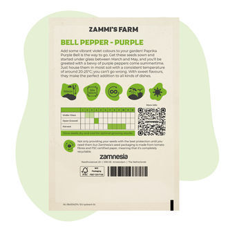 Paprikazaden Purple Bell (Capsicum Annuum)