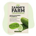 Snackkomkommerzaden Kalimero F1 (Cucumis Sativus)