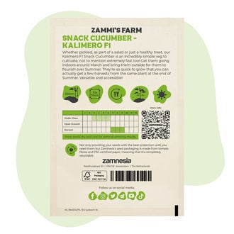Snackkomkommerzaden Kalimero F1 (Cucumis Sativus)