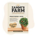 Sierpeper 'Dwarf Mixed' (Capsicum Annuum) Zaden