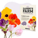 Zaadmengsel Voor Klimplanten