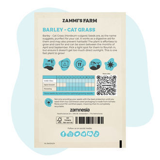 Gerst - Kattengras (Hordeum vulgare) Zaden