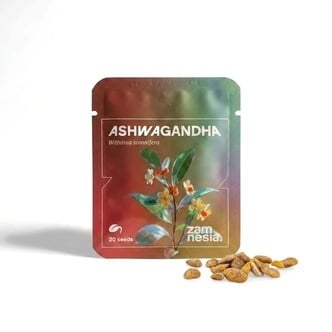 Ashwagandha (Withania Somnifera) 20 zaden